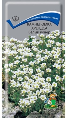 Камнеломка  Арендса Белый Ковёр цв.п 0,01гр Поиск