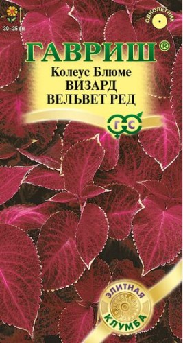 Колеус Блюме Визард Вельвет Ред цв.п 4шт Гавриш