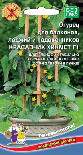 Огурец Балконный Красавчик Хикмет F1 цв.п 6шт Уральский Дачник
