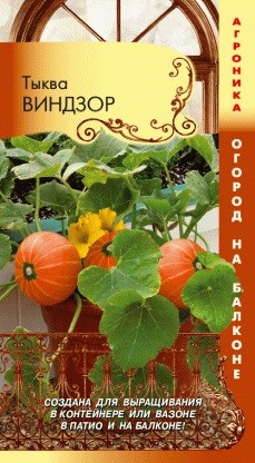 Тыква Виндзор цв.п 3шт Плазмас