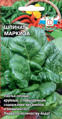 Шпинат Маркиза цв.п 2гр СеДек