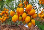 Томат Лимон Лиана цв.п 10шт Медведев