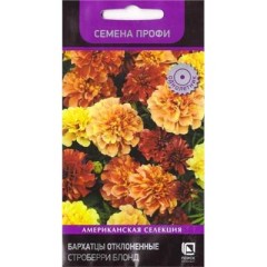 Бархатцы Строберри Блонд цв.п 10шт Поиск