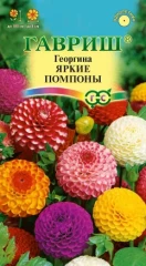 Георгина Яркие Помпоны цв.п 0,2гр Гавриш