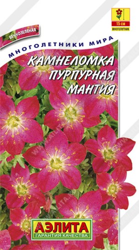 Камнеломка  Арендса Пурпурная Мантия цв.п 0,02гр Аэлита