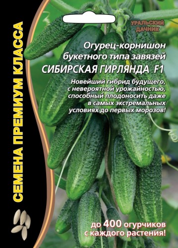 Огурец Сибирская Гирлянда пучковые корн. F1 цв.п 5шт Премиум Уральский Дачник