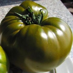 Томат Болото цв.п 10шт ТомАгроС