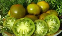 Томат Болото цв.п 10шт ТомАгроС