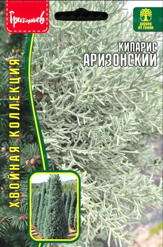 Кипарис Аризонский цв.п 0,1гр ИП Григорьев