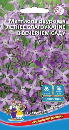 Маттиола Летнее Благоухание В Вечернем Саду цв.п 0,25гр Уральский Дачник