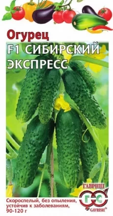 Огурец Сибирский Экспресс F1 цв.п 10шт Гавриш