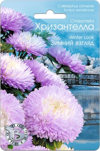 Хризантелла - Астра китайская Зимний Взгляд цв.п 30шт Биотехника