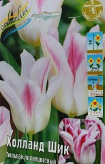 Тюльпан Холланд Шик (Лилиецветный) Color Line