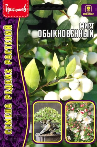 Мирт Обыкновенный цв.п 10шт ИП Григорьев