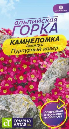 Камнеломка Пурпурный Ковёр Арендса цв.п 0,01гр Семена Алтая