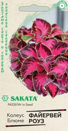 Колеус Блюме Файервей Роуз цв.п 4шт SAKATA Гавриш