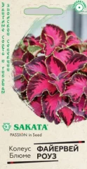 Колеус Блюме Файервей Роуз цв.п 4шт SAKATA Гавриш