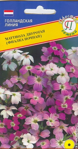 Маттиола Ночная фиалка цв.п 0,1гр Престиж