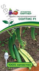 Огурец СОЛТИС F1 цв.п 5шт Партнёр
