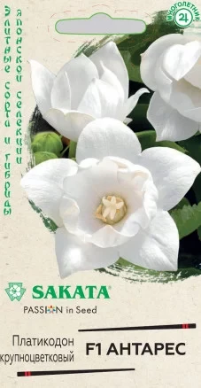 Платикодон Антарес (Ширококолокольчик крупноцветковый) F1 цв.п 5шт SAKATA  Гавриш