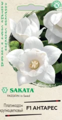 Платикодон Антарес (Ширококолокольчик крупноцветковый) F1 цв.п 5шт SAKATA  Гавриш