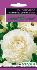 Ранункулюс (Лютик азиатский) Цветущая Долина Белая F1 цв.п 3шт Sakata Гавриш