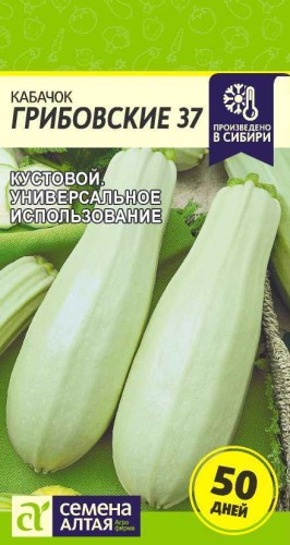 Кабачок Грибовский 37 цв.п 2гр Семена Алтая