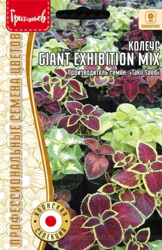 Колеус Giant Exhibition Mix цв.п 3шт ИП Григорьев