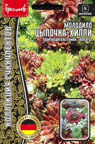 Молодило Цыпочка - Хиппи цв.п 5шт ИП Григорьев