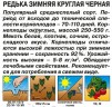 Редька Зимняя Чёрная мет.п 1гр Аэлита