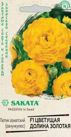 Ранункулюс (Лютик азиатский) Цветущая Долина Золотая F1 цв.п 3шт Sakata Гавриш