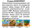 Огурец Конкурент цв.п. 20шт Аэлита