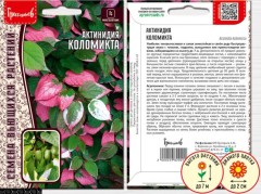 Актинидия Коломикта цв.п 10шт ИП Григорьев