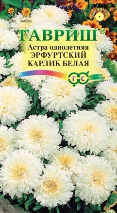Астра однолетняя Эрфуртский Карлик  Белая цв.п 0,3гр, Гавриш