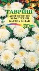 Астра однолетняя Эрфуртский Карлик  Белая цв.п 0,3гр, Гавриш