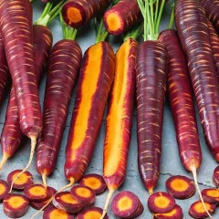 Морковь Чаровница Шоколадная цв.п 0,1гр СеДек