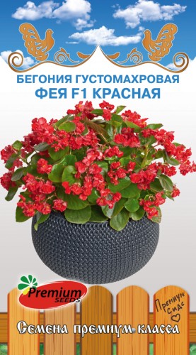 Бегония Фея Красная F1 густомахровая цв.п 5шт Премиум Сидс
