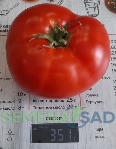 Томат Кумир цв.п 10шт Медведев