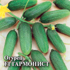 Огурец Гармонист F1 цв.п 10шт Гавриш
