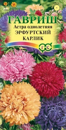 Астра однолетняя Эрфуртский Карлик  цв.п 0,3гр, Гавриш