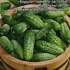 Огурец Засолочное Чудо цв.п 20шт Аэлита