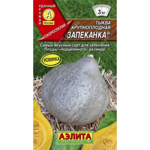 Тыква Запеканка крупноплодная цв.п 1гр Аэлита