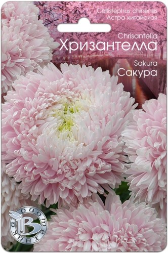 Хризантелла - Астра китайская Сакура цв.п 30шт Биотехника