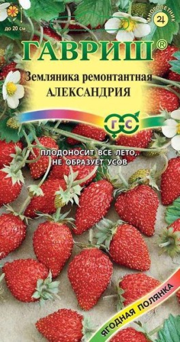 Земляника Александрия цв.п 0,03г Гавриш