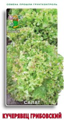 Салат Кучерявец Грибовский цв.п 1гр Поиск