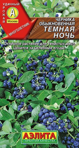 Черника Тёмная Ночь цв.п 0,01гр Аэлита