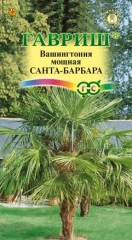 Вашингтония Санта-Барбара цв.п 3шт Гавриш