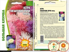 Астра Гигантские Лучи цв.п 200шт ИП Григорьев