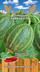 Огурдыня Каразелла цв.п 5шт Премиум Сидс