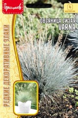 Овсяница Varna сизая цв.п 0,05гр ИП Григорьев